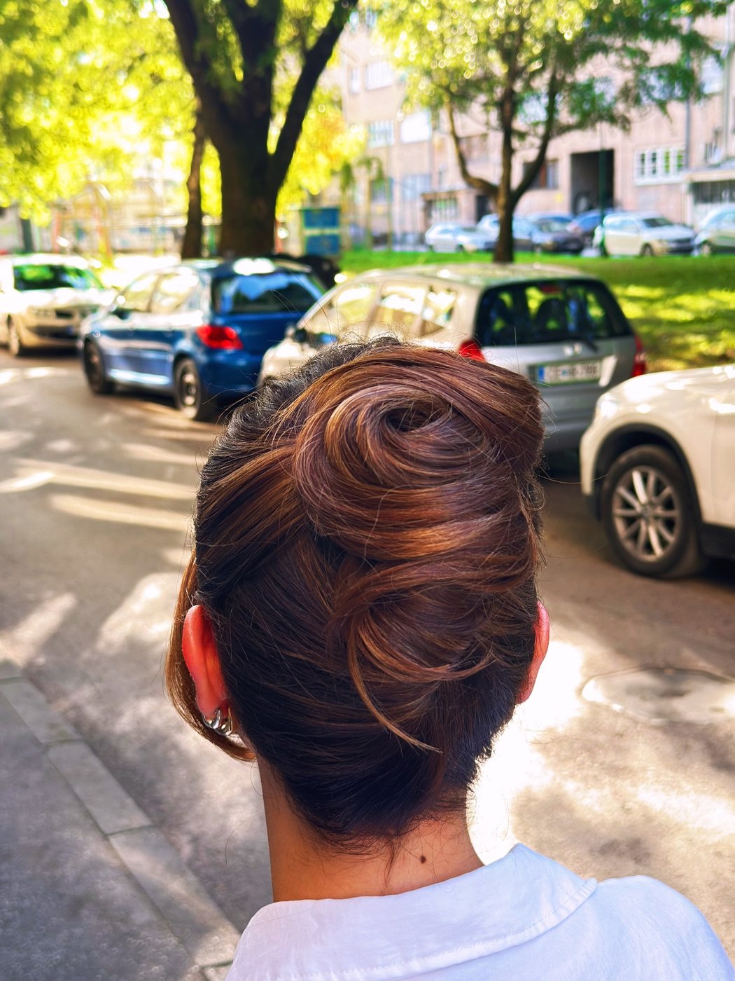 Svečani styling, elegantna punđa